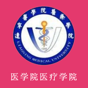 遼寧醫(yī)學(xué)院醫(yī)療學(xué)院