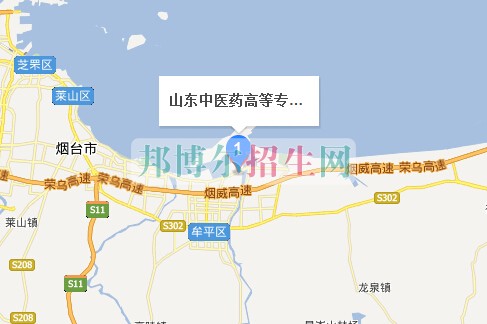 山東中醫(yī)藥高等?？茖W(xué)校