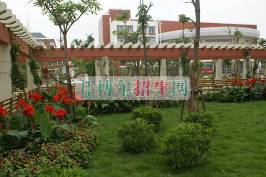 泉州醫(yī)學高等?？茖W校