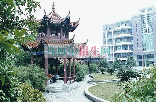 高中沒畢業(yè)可以學軟件技術(shù)嗎