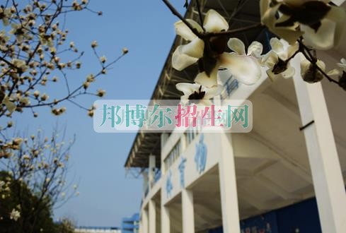計算機應(yīng)用技術(shù)職業(yè)學校哪家好