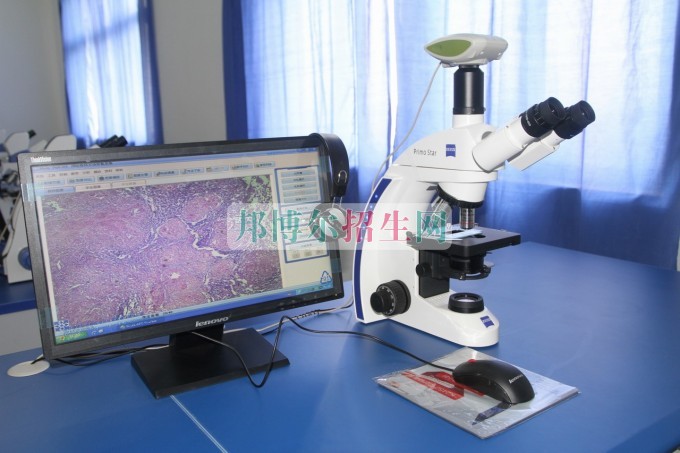 初中畢業(yè)學醫(yī)學檢驗專業(yè)怎樣