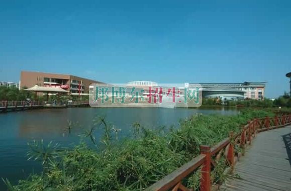成都軟件技術需要多少分