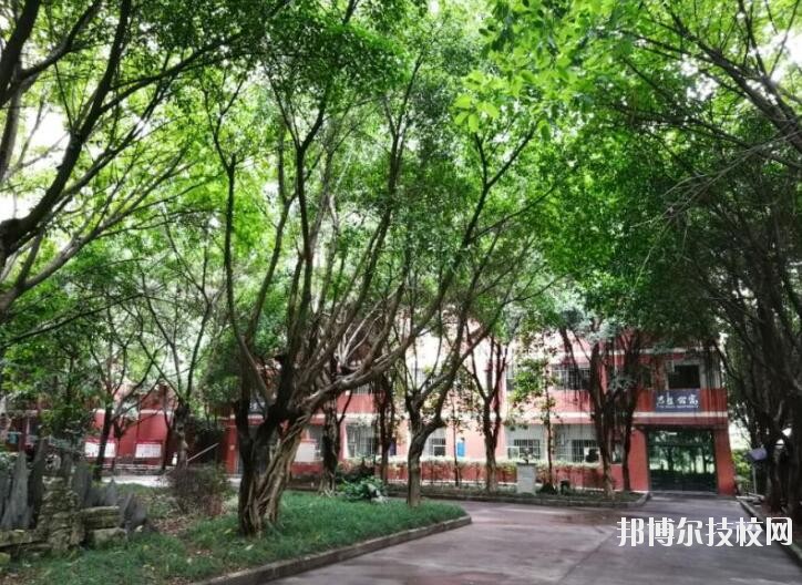 重慶舞蹈學(xué)校2020年報名條件、招生要求、招生對象