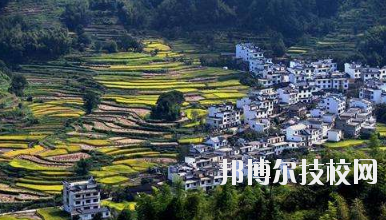 江西婺源茶葉學(xué)校2020年報(bào)名條件、招生要求、招生對(duì)象