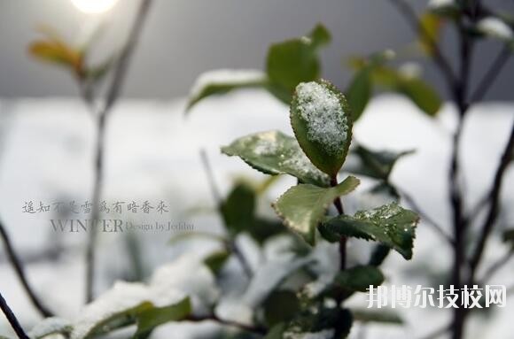 寧波東錢(qián)湖旅游學(xué)校2020年招生辦聯(lián)系電話(huà)