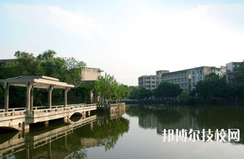 重慶紅春藤技工學校2020年報名條件、招生要求、招生對象