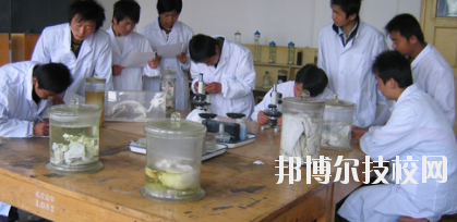 臨夏農(nóng)業(yè)學(xué)校2020年學(xué)費(fèi)、收費(fèi)多少