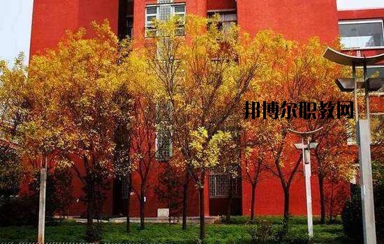 鶴峰職業(yè)技術(shù)學(xué)校2020年報名條件、招生要求、招生對象
