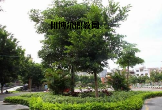 羅定中等職業(yè)技術(shù)學(xué)校怎么樣、好不好