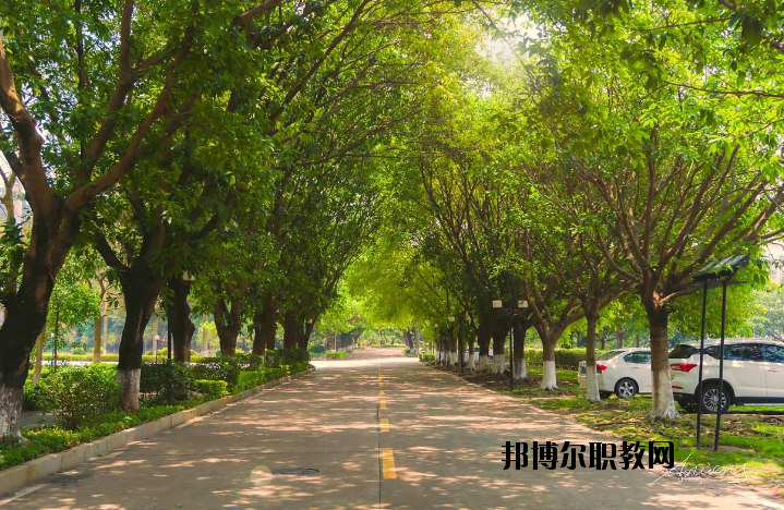 河南團校2021年報名條件、招生要求、招生對象
