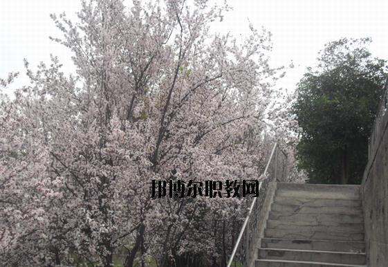 ?？德毥讨行膶W校網(wǎng)址網(wǎng)站