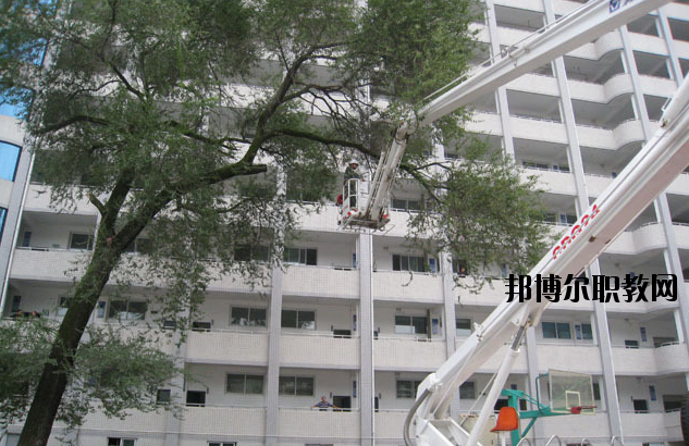 竹山職業(yè)技術(shù)集團學校2