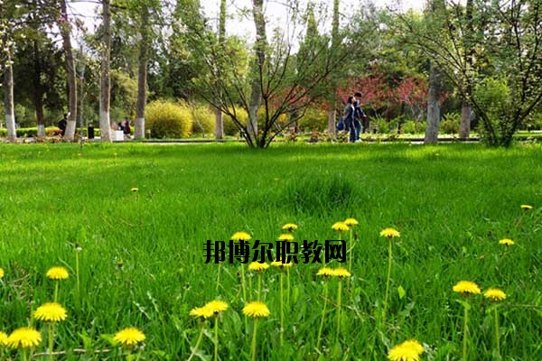 雙江縣職教中心2020年報(bào)名條件、招生要求、招生對(duì)象