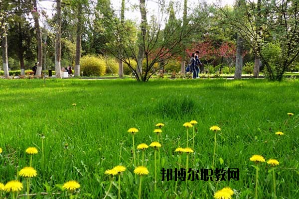 雙江縣職教中心怎么樣、好不好