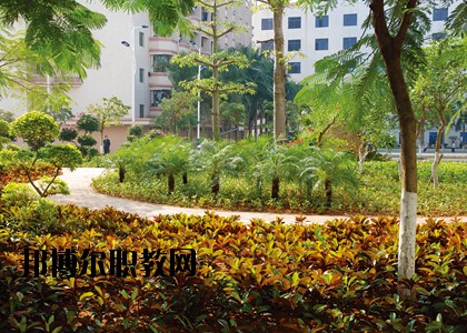 湛江技師學(xué)院怎么樣、好不好