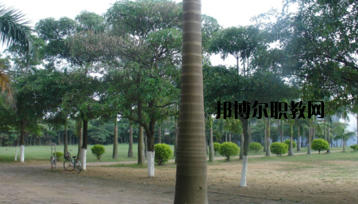 合浦石康職業(yè)技術(shù)學(xué)校怎么樣、好不好