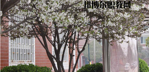 鄭州財經(jīng)技師學(xué)院2021年有哪些專業(yè)