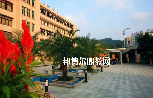 廣東省林業(yè)職業(yè)技術(shù)學(xué)校2020年報名條件、招生要求、招生對象