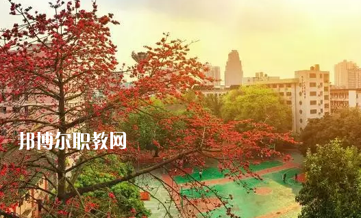 廣東省商業(yè)職業(yè)技術(shù)學(xué)校怎么樣、好不好