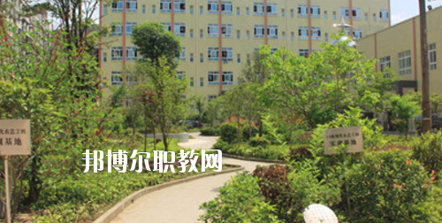 道真中等職業(yè)學(xué)校2020年報(bào)名條件、招生要求、招生對(duì)象