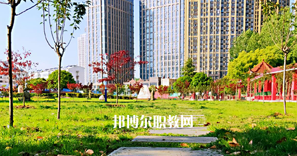 合肥飛躍學校2020年報名條件、招生要求、招生對象 