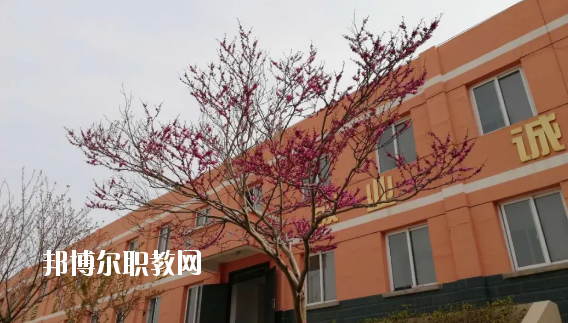 成縣化埡農(nóng)職業(yè)中學(xué)怎么樣、好不好