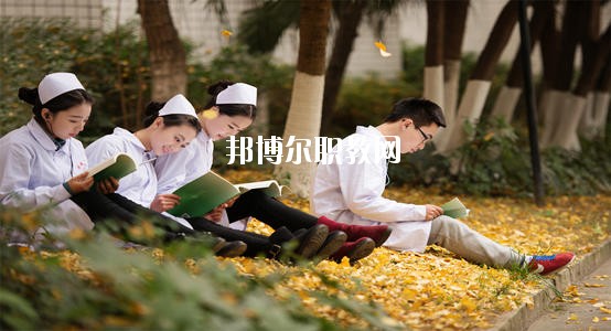 四川2020年讀衛(wèi)校學什么有前途