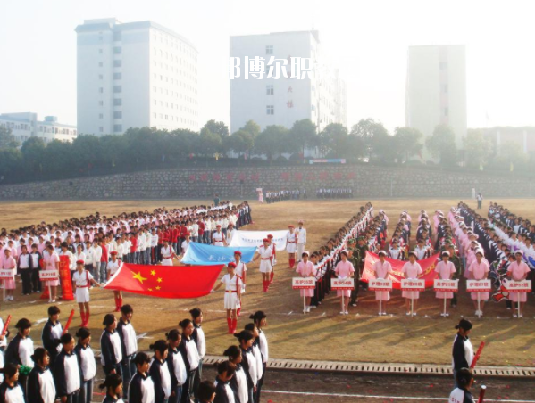 QQ截圖20200225123639