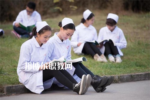 成都2020年衛(wèi)校是什么
