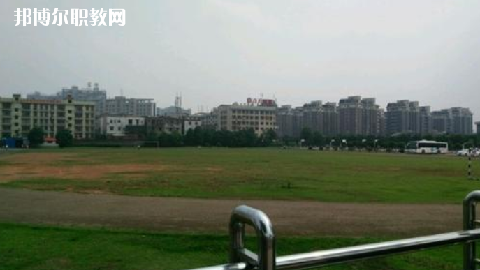 QQ截圖20200804135020