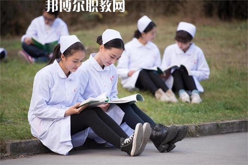 成都2020年衛(wèi)校學什么最好