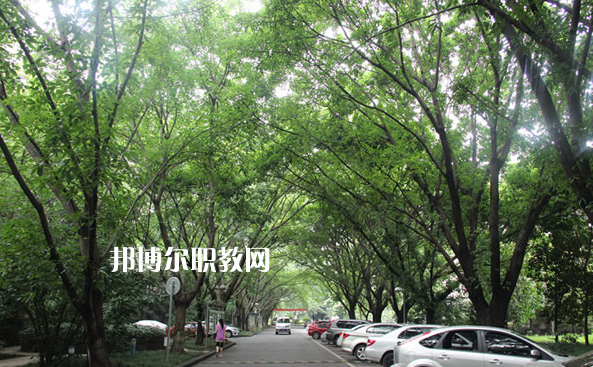 重慶2021年中專學?？梢钥即髮W嗎