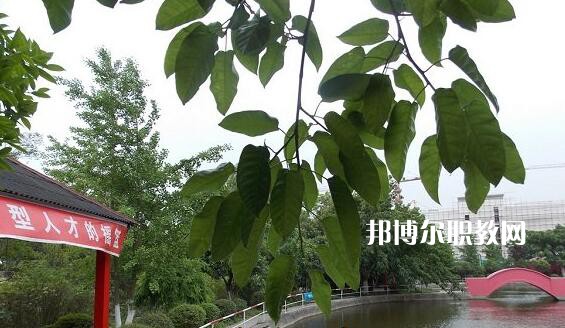 綿陽陽光職業(yè)技術(shù)學校網(wǎng)站網(wǎng)址