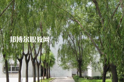 新疆喀什地區(qū)衛(wèi)生學(xué)校2021年報(bào)名條件、招生要求、招生對(duì)象