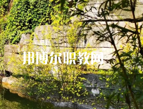 遵義職業(yè)技術學校2022年招生錄取分數(shù)線