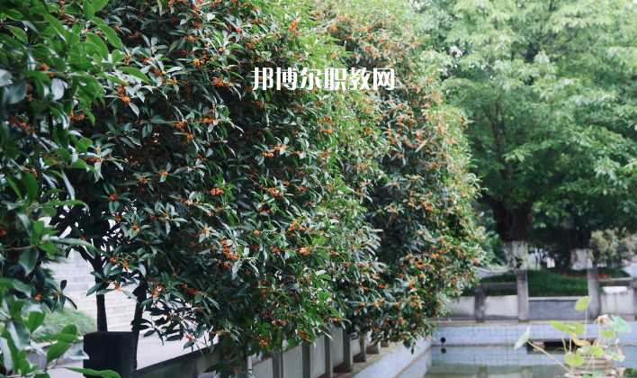 德陽通用電子科技學(xué)校怎么樣、好不好