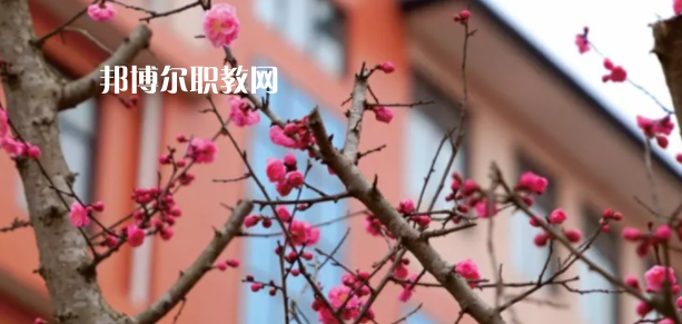 成都廣信數字技術職業(yè)學校2022年招生簡章