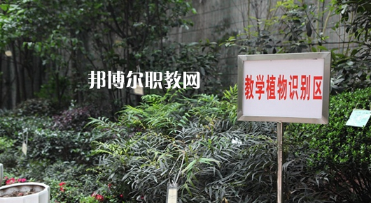 重慶風(fēng)景園林技工學(xué)校2022年學(xué)費、收費多少