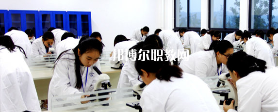 樂(lè)山市醫(yī)藥科技高級(jí)技工學(xué)校成都校區(qū)2022年有哪些專(zhuān)業(yè)