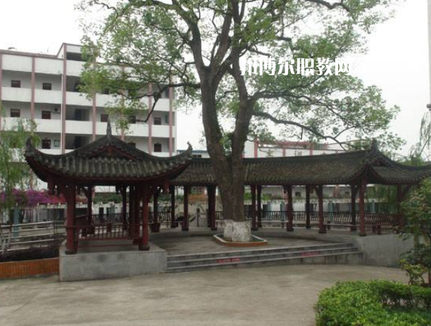 四川合江先市職業(yè)高級中學校怎么樣、好不好