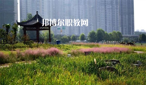 徐州生物工程職業(yè)技術(shù)學(xué)院中專部2022年報(bào)名條件、招生要求、招生對(duì)象