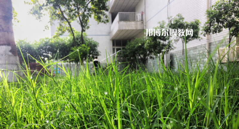 樂山計算機(jī)學(xué)校2022年學(xué)費(fèi)、收費(fèi)多少