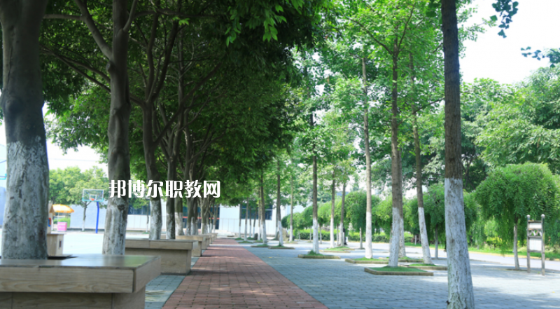 鎮(zhèn)雄縣職業(yè)高級(jí)中學(xué)2022年報(bào)名條件、招生要求、招生對(duì)象