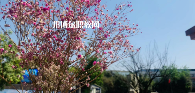 成都華大醫(yī)藥衛(wèi)生學(xué)校怎么樣、好不好