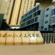 廣安市景山職業(yè)高中學校