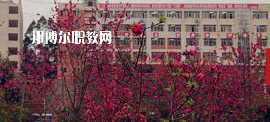 岑溪市中等專業(yè)學(xué)校2022年報(bào)名條件、招生要求、招生對(duì)象