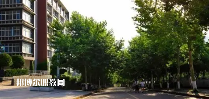 重慶醫(yī)藥高等?？茖W(xué)校好不好_2023年有單招嗎