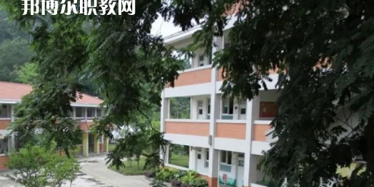 大邑縣特殊教育學(xué)校2023年招生簡(jiǎn)章