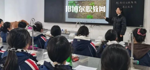 遂寧市船山職業(yè)技術(shù)學校2023年招生錄取分數(shù)線